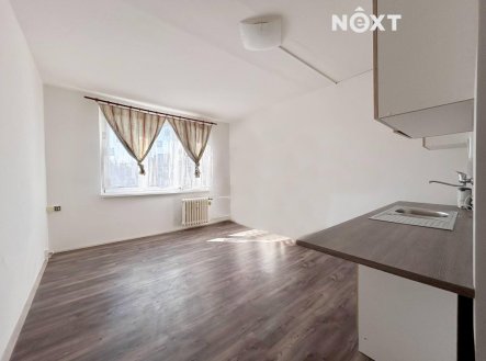 Pronájem bytu, 1+kk, 20 m²