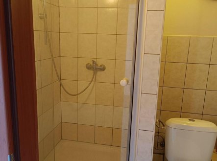 Pronájem bytu, 1+kk, 24 m²