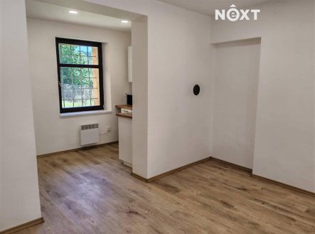 Pronájem bytu, 1+kk, 34 m²
