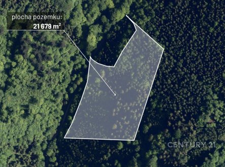 Prodej pozemku, les, 21 679 m²