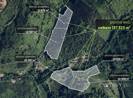 Prodej pozemku, les, 21 679 m²