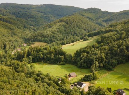 Prodej pozemku, les, 21 679 m²
