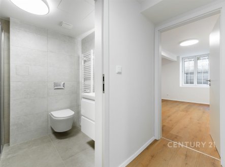 Prodej bytu, 3+kk, 71 m²