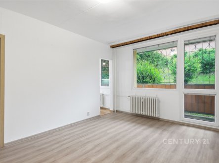 Pronájem bytu, 1+1, 27 m²