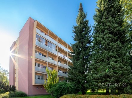 Prodej bytu, 4+1, 74 m²