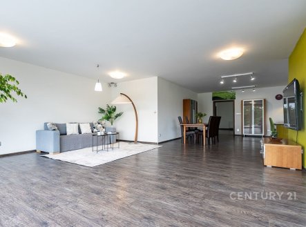 Pronájem bytu, atypický, 134 m²