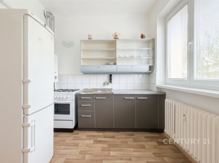Pronájem bytu, 1+1, 38 m²
