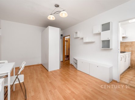 Pronájem bytu, 1+1, 33 m²