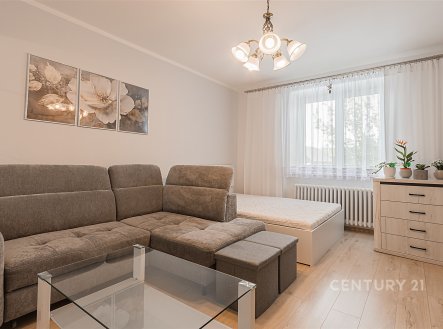 Prodej bytu, 1+1, 42 m²