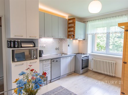 Prodej bytu, 1+1, 42 m²