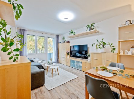 Pronájem bytu, 2+1, 59 m²