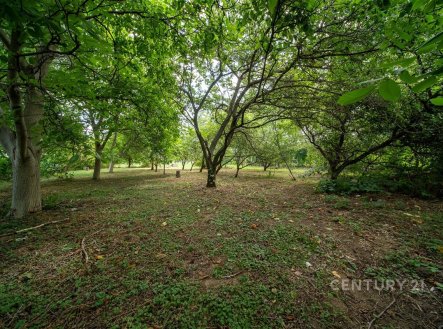Prodej domu/vily, 145 m²