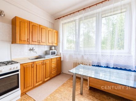 Pronájem bytu, 1+1, 38 m²