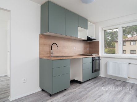 Pronájem bytu, 2+1, 66 m²
