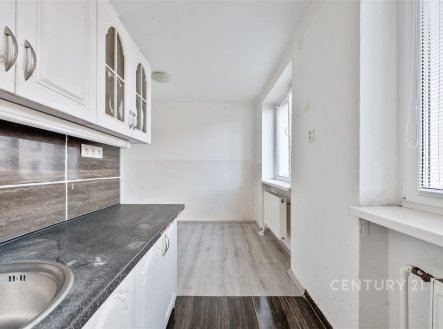 Prodej bytu, 2+1, 59 m²