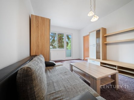 Pronájem bytu, 2+1, 55 m²