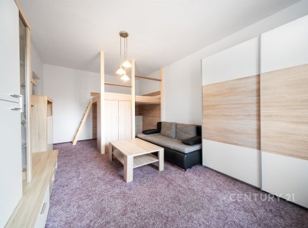 Pronájem bytu, 2+1, 55 m²
