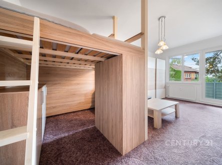 Pronájem bytu, 2+1, 55 m²