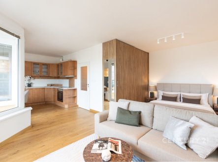 Pronájem bytu, 1+kk, 37 m²