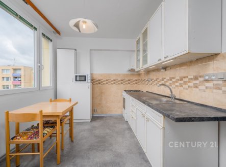 Pronájem bytu, 1+1, 45 m² obrázek