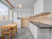 Pronájem bytu, 1+1, 45 m²