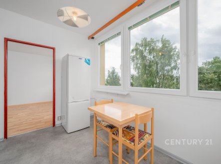 Pronájem bytu, 1+1, 45 m²