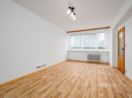 Pronájem bytu, 1+1, 45 m²