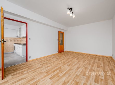 Pronájem bytu, 1+1, 45 m²