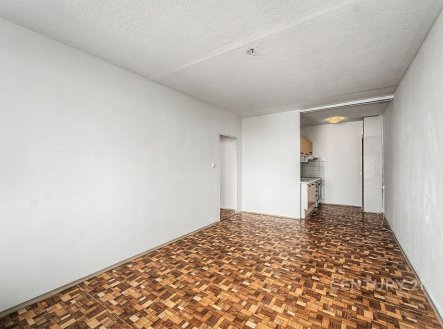 Prodej bytu, 2+kk, 43 m²