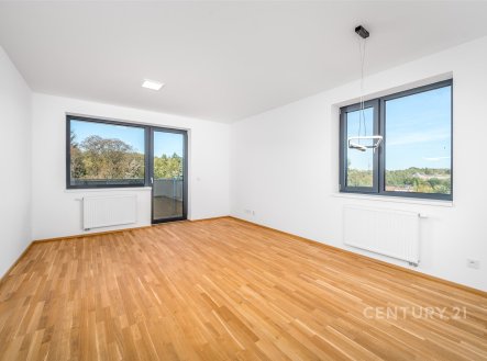Pronájem bytu, 2+kk, 54 m²