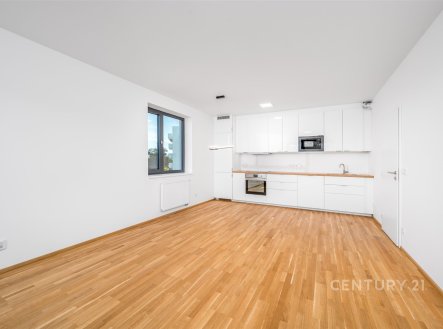 Pronájem bytu, 2+kk, 54 m²