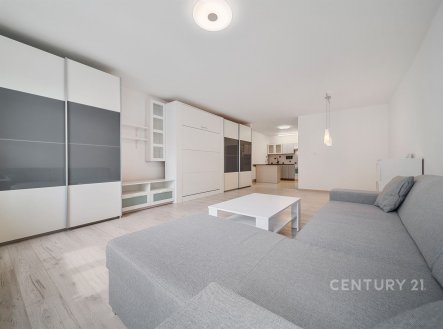 Pronájem bytu, 1+kk, 51 m²