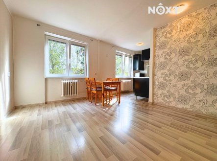 Pronájem bytu, 3+kk, 68 m²