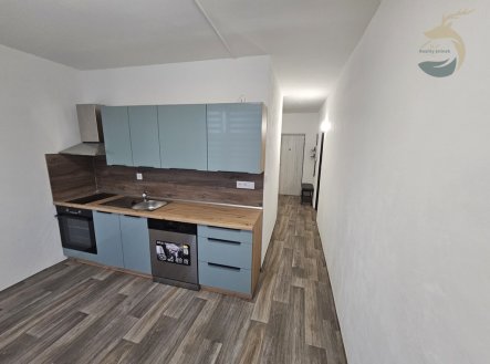 Pronájem bytu, 2+1, 66 m²