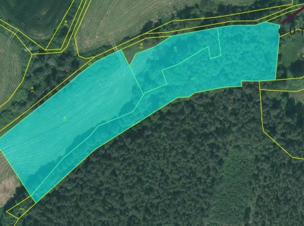 Prodej pozemku, trvalý travní porost, 16 058 m²