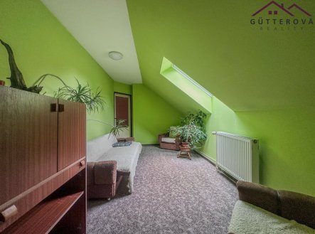 Prodej domu/vily, 250 m²