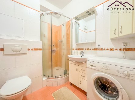 Pronájem bytu, 1+kk, 30 m²