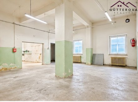 Pronájem komerčního objektu, sklad, 200 m²