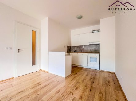 Pronájem bytu, 2+kk, 48 m²