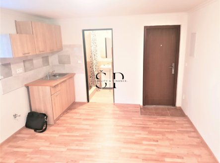 20191102-080843.jpg | Pronájem bytu, 1+kk, 40 m²