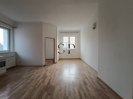 Pronájem bytu, 2+kk, 55 m²