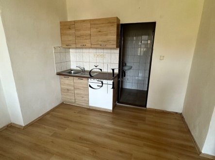 Pronájem bytu, 1+kk, 341 m²