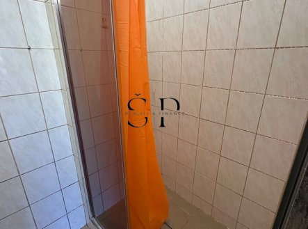 Pronájem bytu, 1+kk, 341 m²