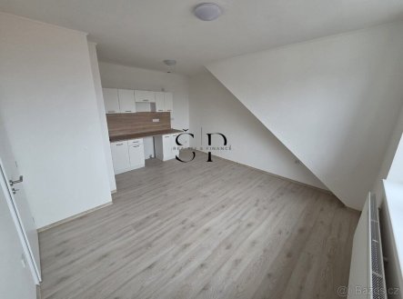 Pronájem bytu, 1+1, 405 m²