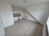Pronájem bytu, 1+1, 405 m²