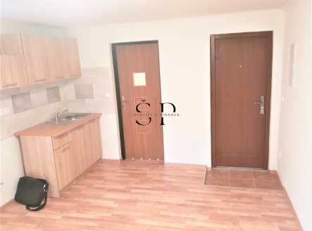 Pronájem bytu, 1+kk, 40 m²