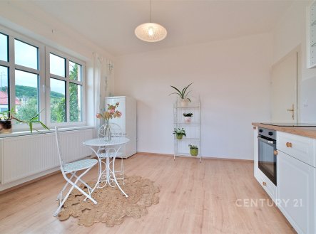 Pronájem bytu, 4+1, 130 m²