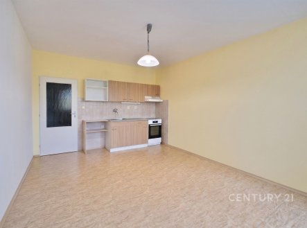 Pronájem bytu, 1+kk, 38 m²