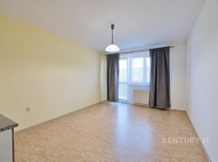 Pronájem bytu, 1+kk, 38 m²