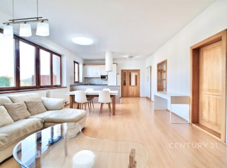 Pronájem bytu, atypický, 135 m²